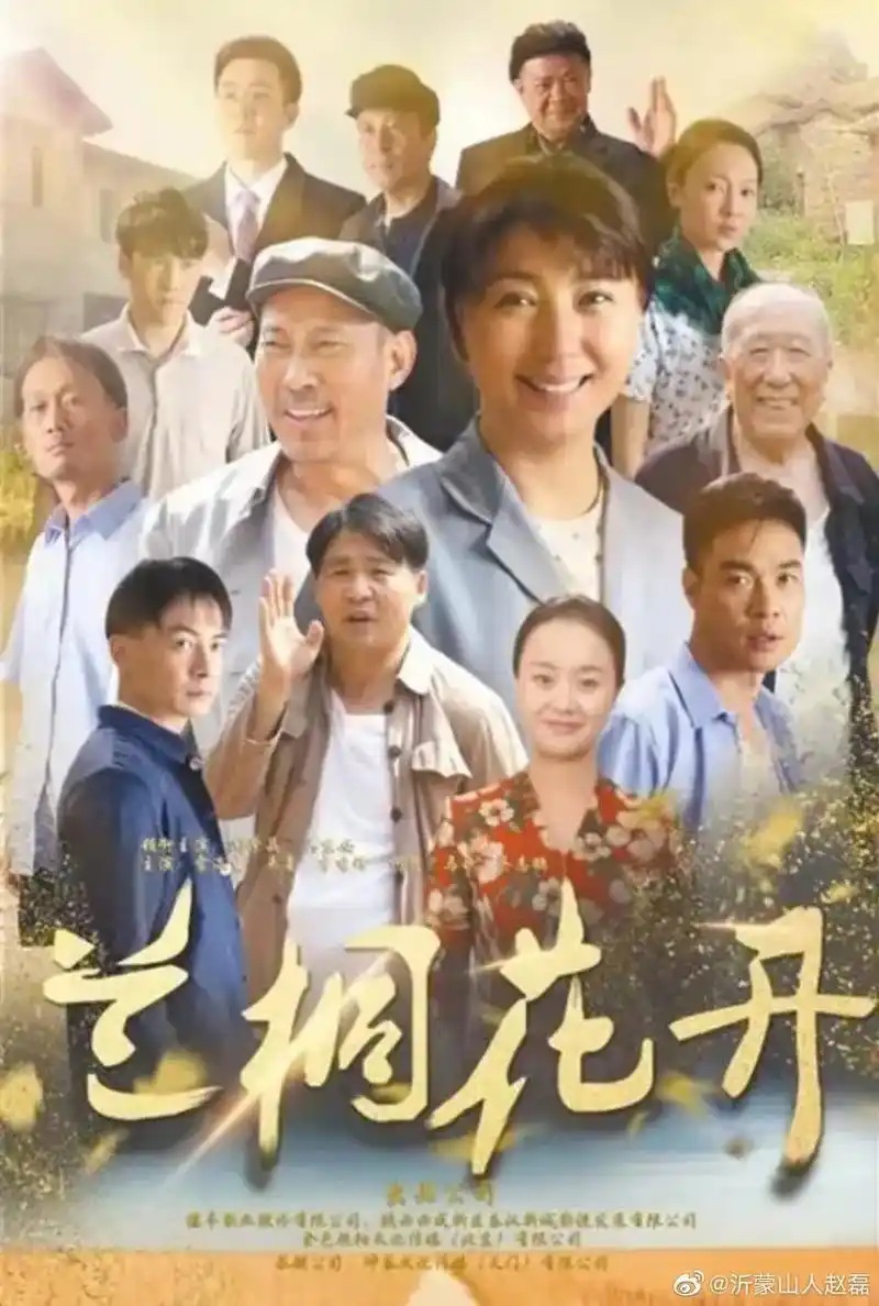 沂蒙山人赵磊 在中国著名导演孙滔先生导演的 电视剧《兰桐花开 - 抖