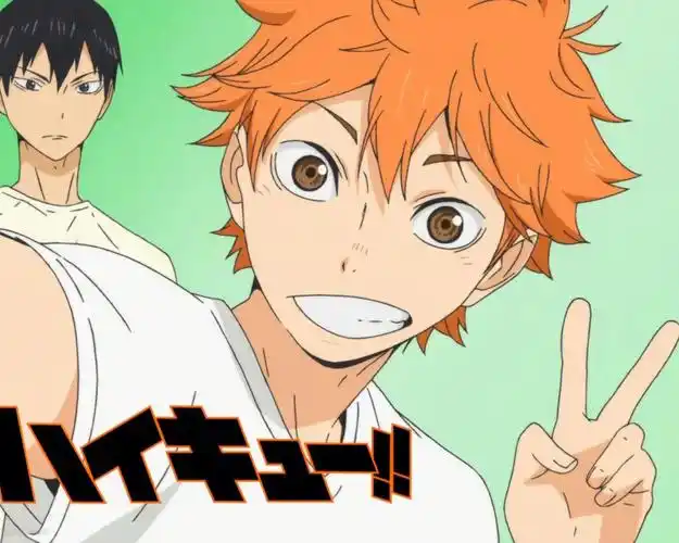 最好的祝福给最可爱的hinata小朋友(养娃即视感)#排球少年  #日向翔阳