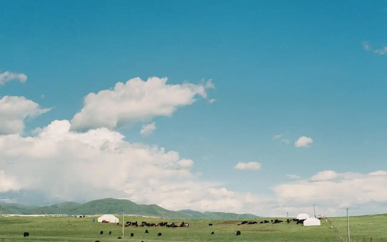 好看的草原桌面壁纸高清图片大全唯美图片