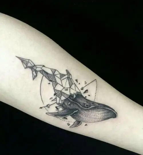 鲸鱼纹身图片_手臂欧美写实几何纹身图案