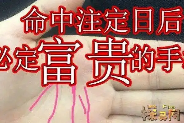 手相大师在线算命,看手相真的准吗(手相图解) — 探灵网