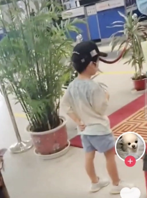 黄晓明带儿子回青岛老家,小海绵现身机场和啤酒节,帅气可爱