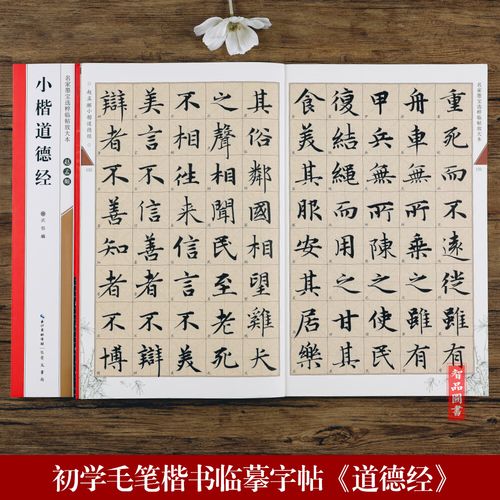 赵孟頫小楷道德经 名家墨宝选粹临帖放大本附墨迹局部 毛笔软笔赵体