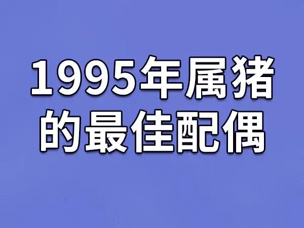 1995年属猪的最佳配偶