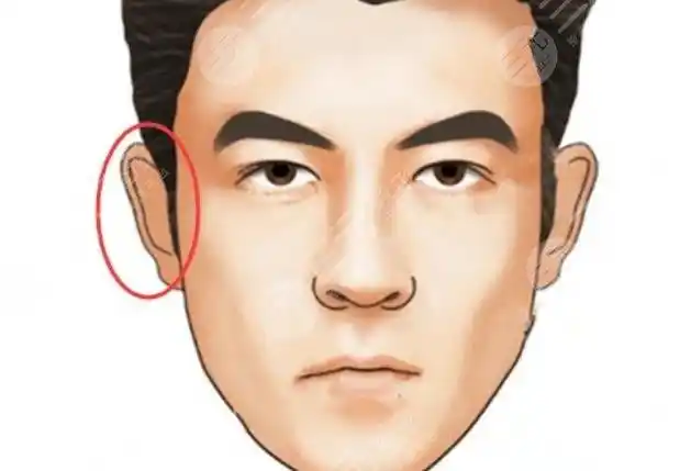 三种有福的耳朵图片大全,你的耳朵"有福无福"一看便知!