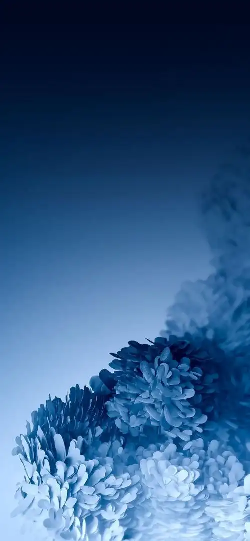 讲道理,三星手机好坏不论 壁纸真的棒