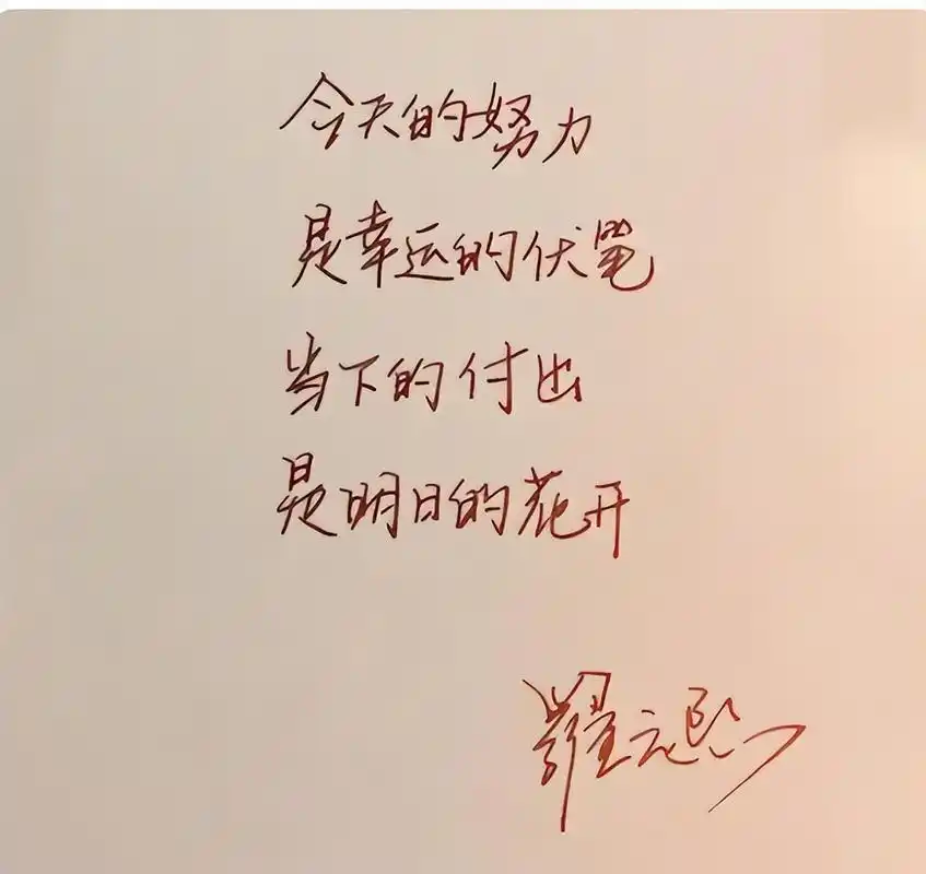 "罗云熙字体"走红,比奶酪体还上头,阅卷老师看到爱不释手