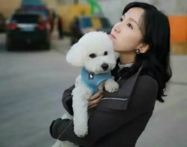 5种很萌的狗狗,昆凌,赵丽颖,蔡依林的狗子都上榜啦