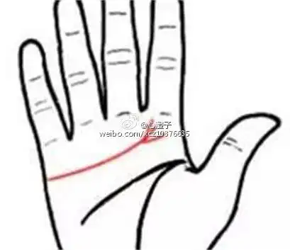 心澄子人相学:手相感情线末端三叉状,一生幸福