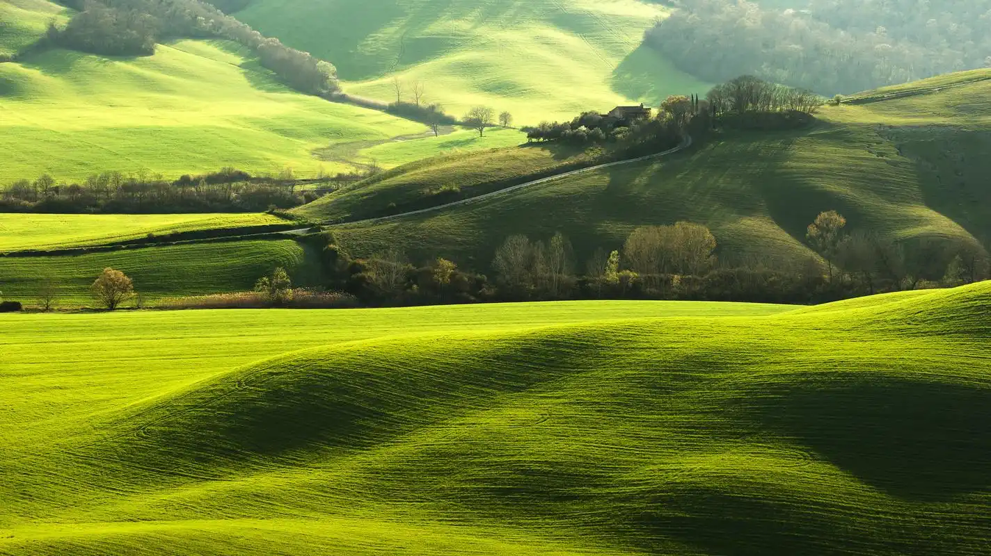 高清绿色护眼自然风景图片桌面壁纸