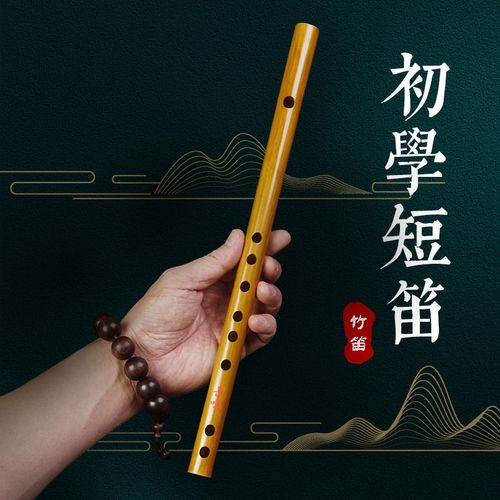 长鸣素笛竹笛长鸣笛子专业精制苦竹儿童成人初学横笛乐器gf调e调