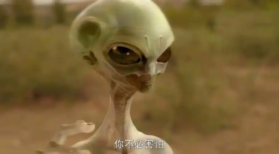 的世界》中,田晓霞死后,整天痛不欲生的孙少平做了一个关于外星人的梦