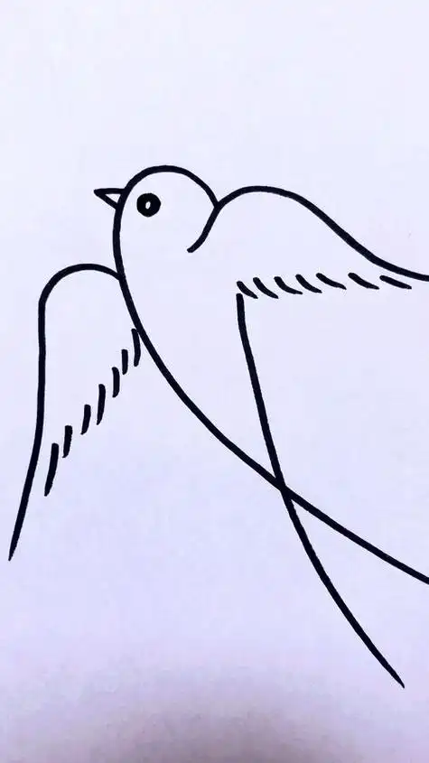 燕子简笔画画法步骤图片简笔画图片春天儿童画怎么画春天简笔画简单