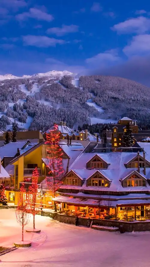 【手机壁纸】必应1080p壁纸【2022年12月第四期】