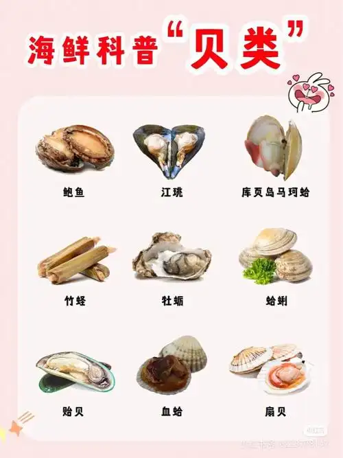 海鲜贝类