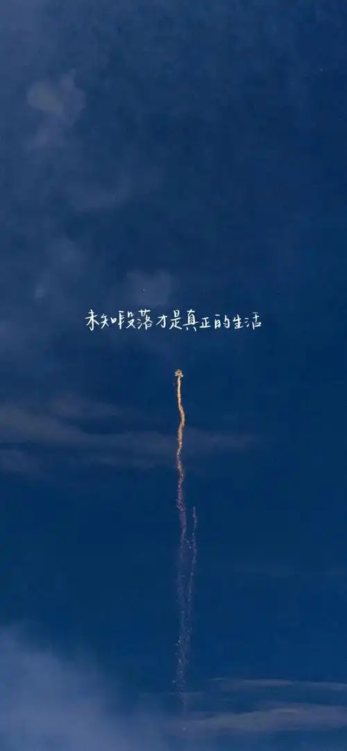 手机壁纸 壁纸(电子产品屏幕背景图片) 有哪些纯色的有励志文案的壁纸