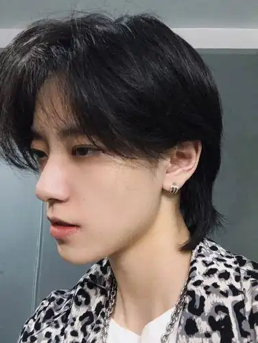 头顶两部分头发较多,并且蓬松自然,有一定的层次感,也称为港式发型