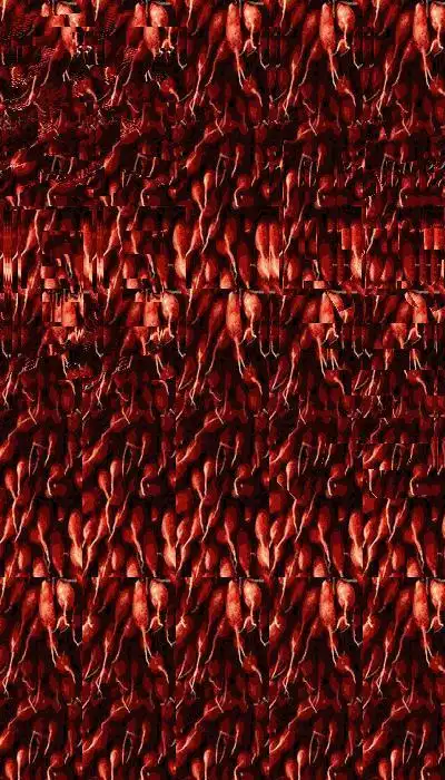 裸眼3d立体视频(11)左右格式 外国美女 会看三维立体图来