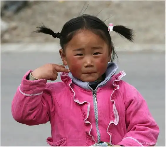 高山雪水孕育的高原红