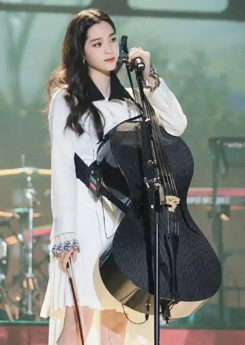 再看看杨紫,简直像帮欧阳娜娜看大提琴的助理.