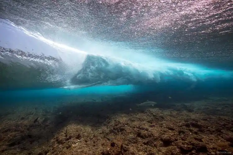 马尔代夫冲浪水下摄影 [32p]