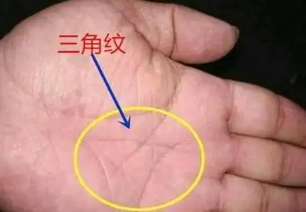 手中出现通天纹,白手起家,创业四方进财,中年必是富贵命