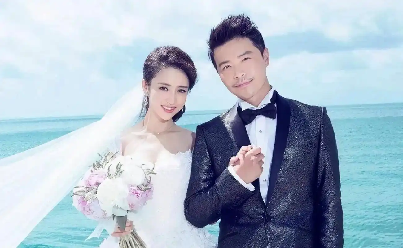 2014年,陈思诚和佟丽娅的婚礼结束后,陈思诚的母亲主动找到担任婚礼