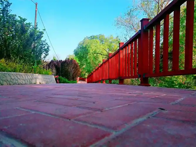 滨河路绿色长廊