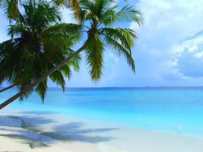 描述: 夏日海滩-自然风景壁纸 当前壁纸尺寸: 1920 x 1440