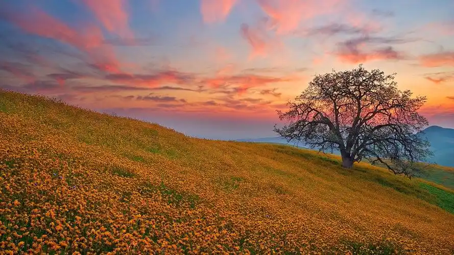 自然风光桌面壁纸 第2张 1920x1080 桌面壁纸 (天堂图片网)