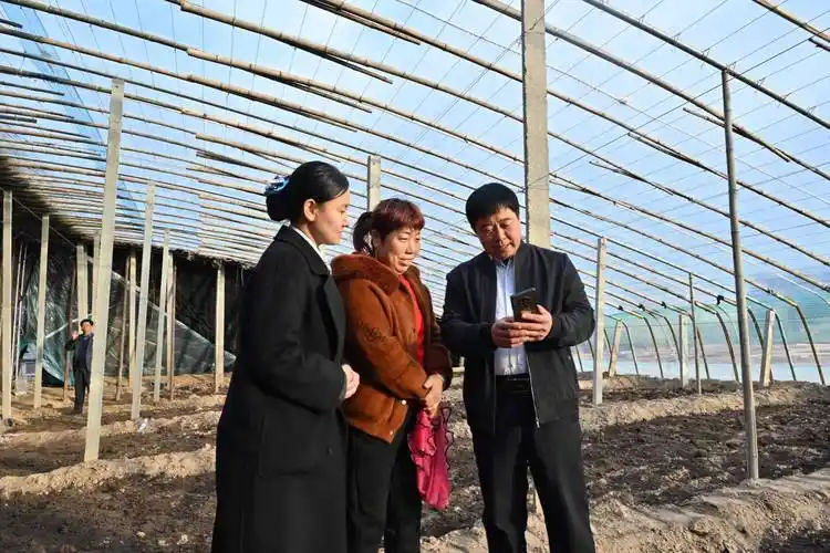 河北饶阳村级金融官引来乡村振兴活水