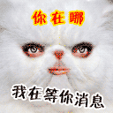 我在等你消息