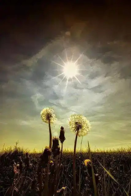 余华:只有干净的眼睛才能看见灵魂_手机搜狐网