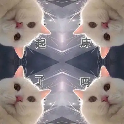 萌宠猫星人起床了吗打招呼呆萌gif动图_动态图_表情包下载_soogif