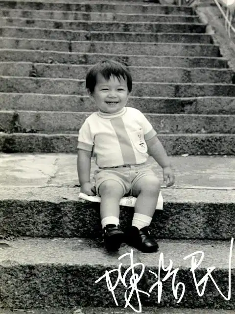 p data-id="gocwo3l0xt">陈浩民,1969年10月7日出生于 a target="