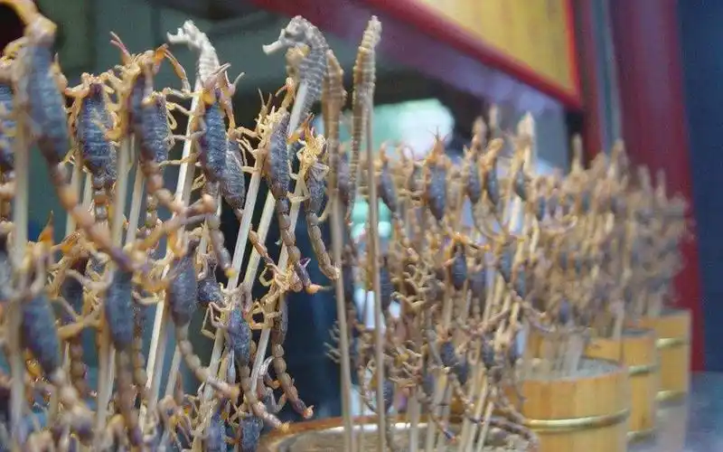 【实拍】今天亲自去尝试了一下王府井小吃街的蝎子烤串,活蝎子被穿在