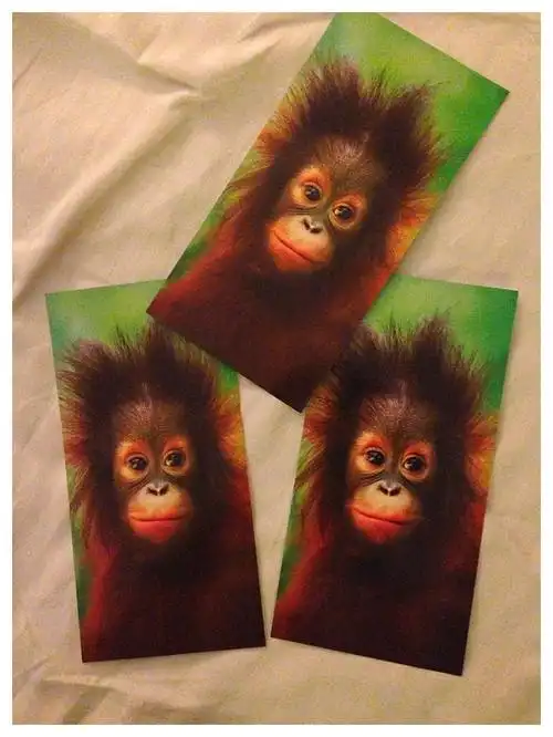 【初访大马】之十一 戏看红毛猴