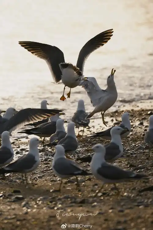 #记录旅行##跟着榜单去旅行#