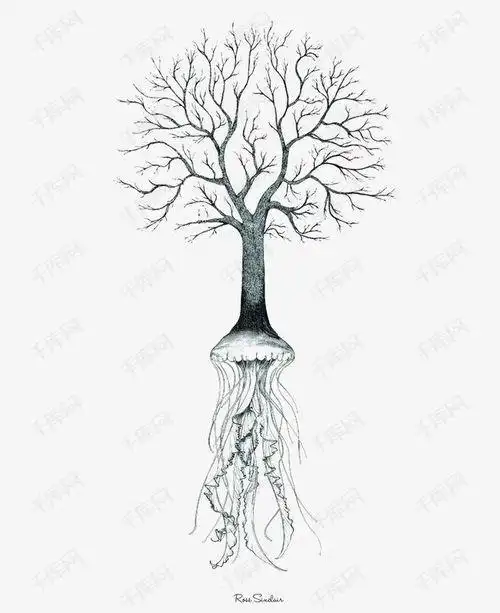 冬天的植物枯萎了儿童简笔画