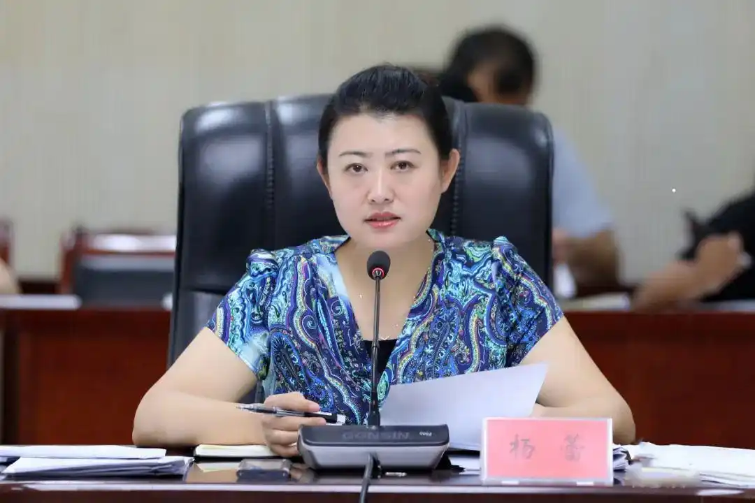 县长杨蕾主持召开县政府2020年第七次常务会议