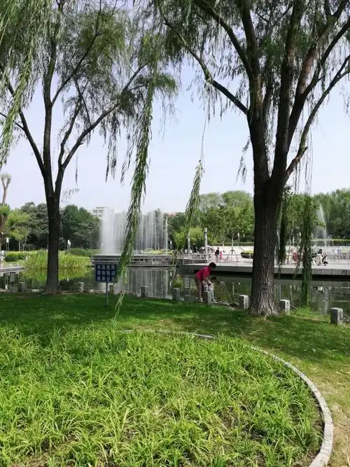 赞阳光星期八公园