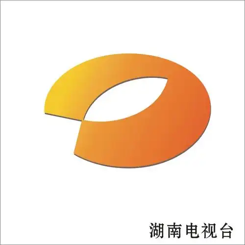 各大电视台台标加精呵呵