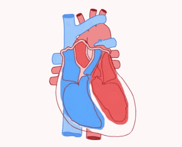 冬季心脏最脆弱 揭秘心脏的5大"敌人"_血压