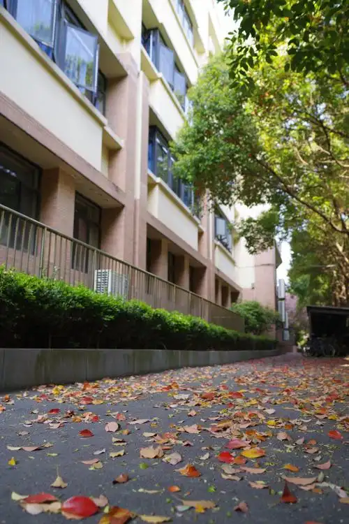 校园一角 宾得k1拍摄