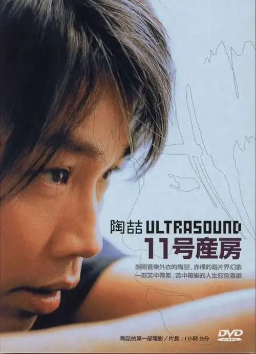 黑色柳丁是什么意思 《黑色柳丁》专辑,就是陶喆音乐生涯的巅峰之作?