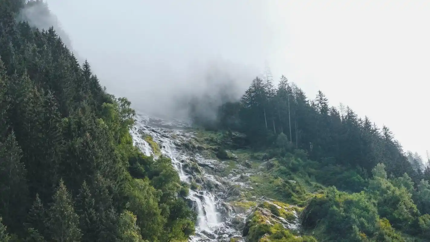 绿色大自然风景高清动态壁纸