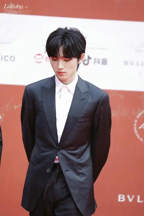 是西装宋亚轩#北影节红毯上的明星们