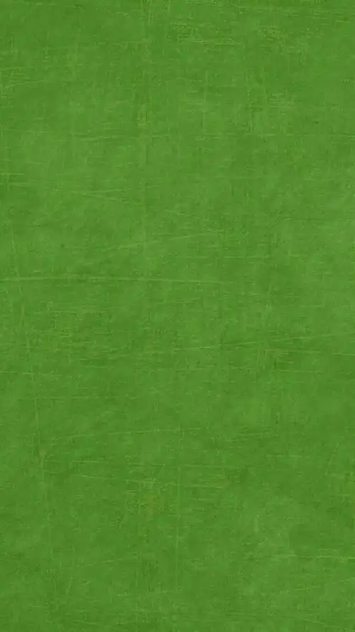 绿色简单平铺壁纸哟@小白不小也不白