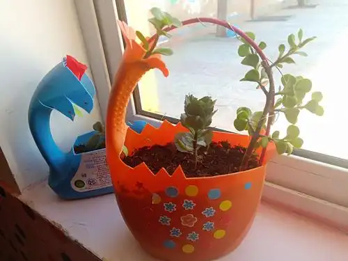 亲子环保花盆创作秀——可华幼儿园大三班