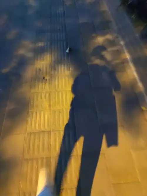 一个人散步时喜欢拍一拍影子